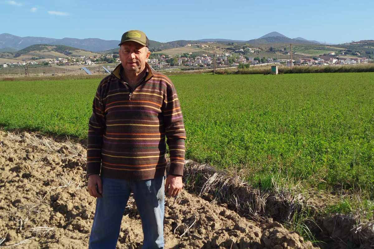 Η καλλιέργεια της κινόα ανοίγει ένα νέο κεφάλαιο στη Φθιώτιδα.