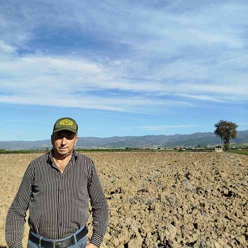 Θανάσης Κυροδήμος, Παραγωγός - Σταυρός Φθιώτιδας