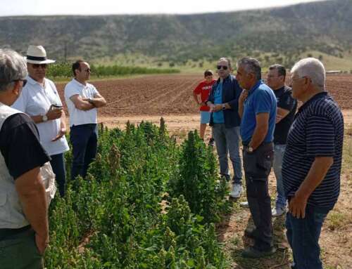 Η κινόα στο Ζάρκο Τρικάλων έφερε χαμόγελα