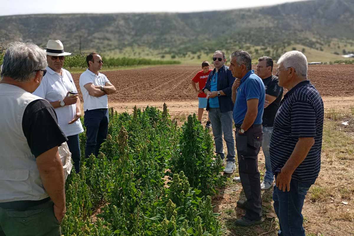 Η κινόα στο Ζάρκο Τρικάλων έφερε χαμόγελα