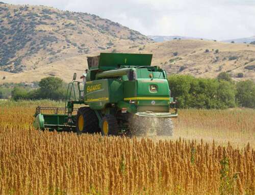 ΚΙΝΟΑ: Ανεπιφύλακτο το «ναι» από τα Κουφάλια Θεσσαλονίκης