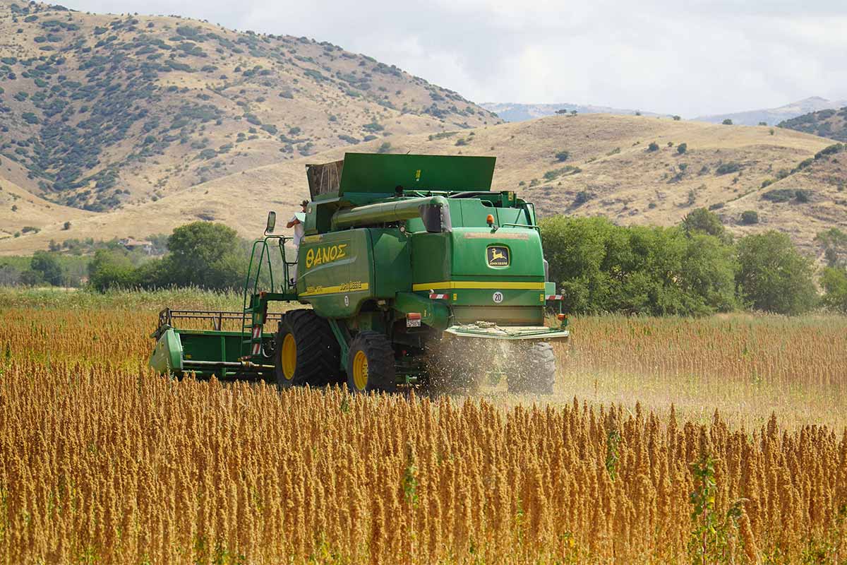 ΚΙΝΟΑ: Ανεπιφύλακτο το «ναι» από τα Κουφάλια Θεσσαλονίκης