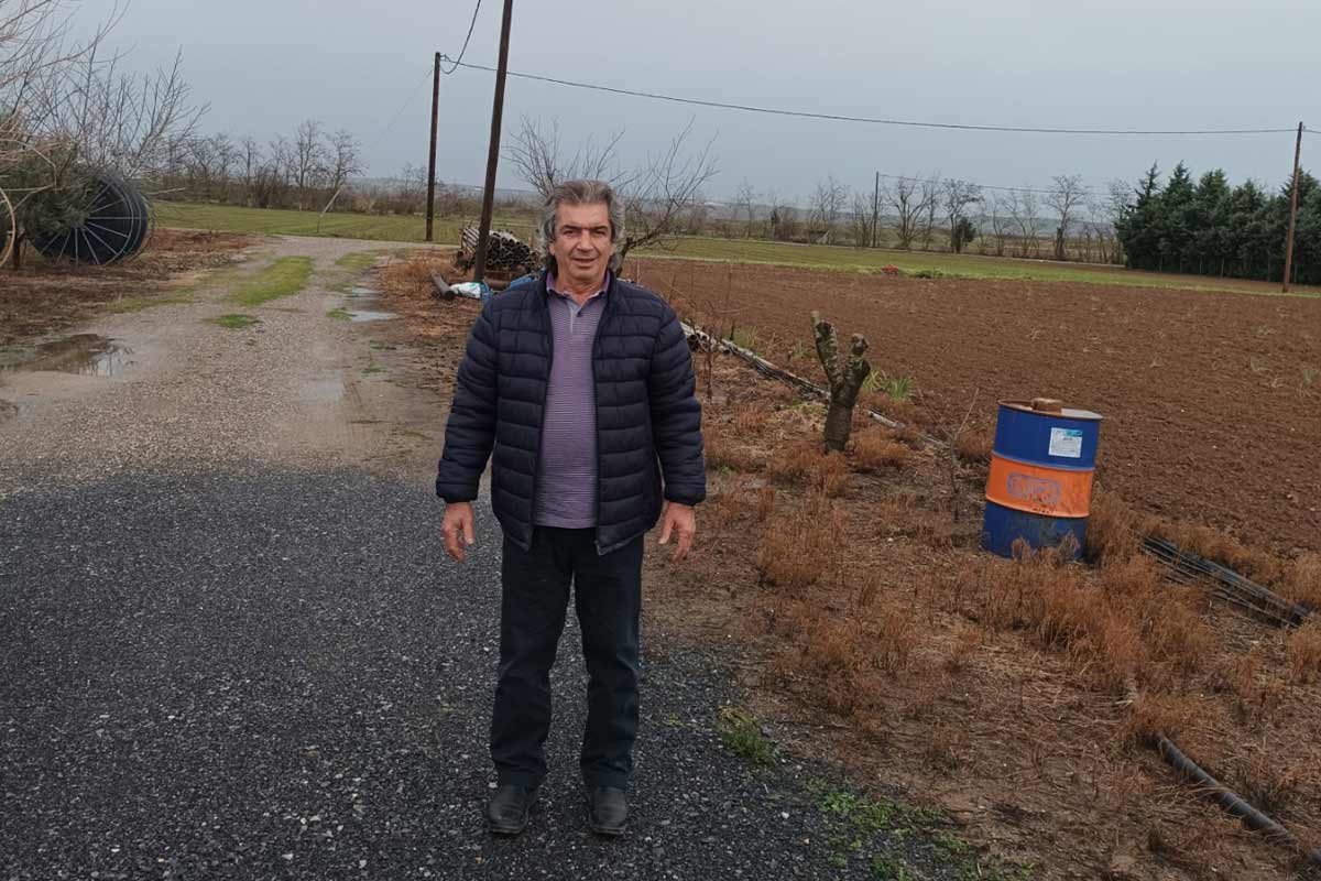 Κινόα: Από εναλλακτική σε κύρια καλλιέργεια