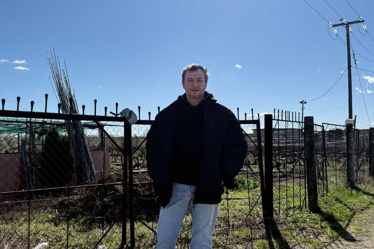 Αύξηση των εκτάσεων με κινόα στην Παιονία