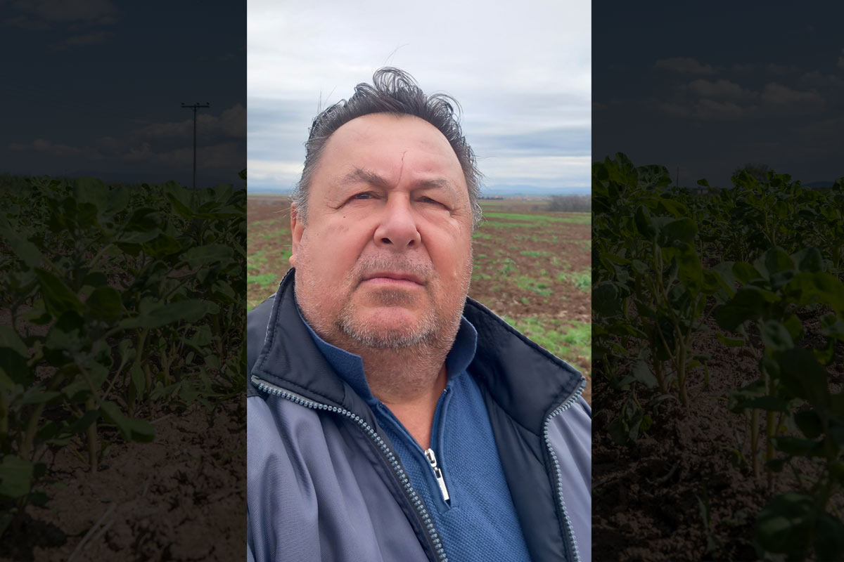 Διπλασιασμός στρεμμάτων κινόα στα Κουφάλια Θεσσαλονίκης