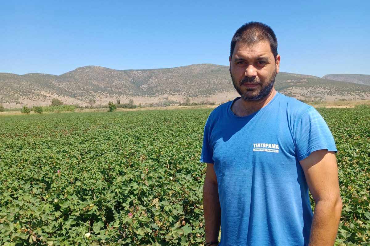 Νέα καλλιεργητική επιλογή με προοπτικές για τους αγρότες της Βοιωτίας
